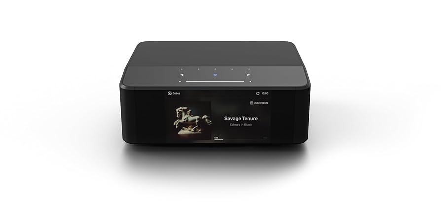 Amazon.com: Bluesound Node ICON Reference Multi-Room High